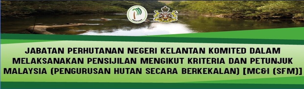 MCI